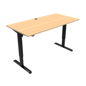 Conset 501-33 Electric Adjustable Desk