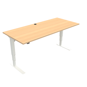 Conset 501-37 Electric Adjustable Desk