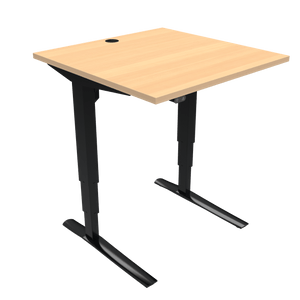 Conset 501-43 Electric Adjustable Desk