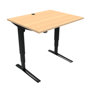 Conset 501-43 Electric Adjustable Desk