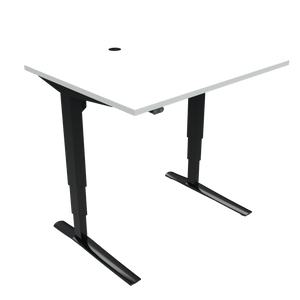 Conset 501-43 Electric Adjustable Desk