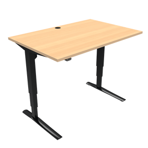 Conset 501-43 Electric Adjustable Desk