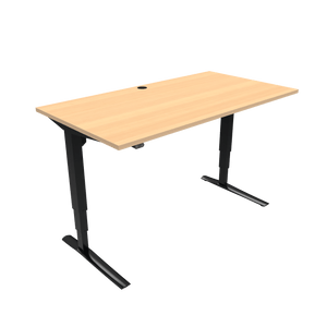 Conset 501-43 Electric Adjustable Desk