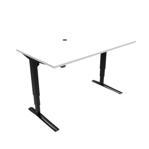 Conset 501-43 Electric Adjustable Desk