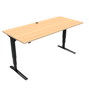 Conset 501-43 Electric Adjustable Desk