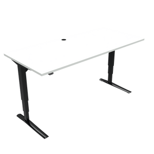 Conset 501-43 Electric Adjustable Desk