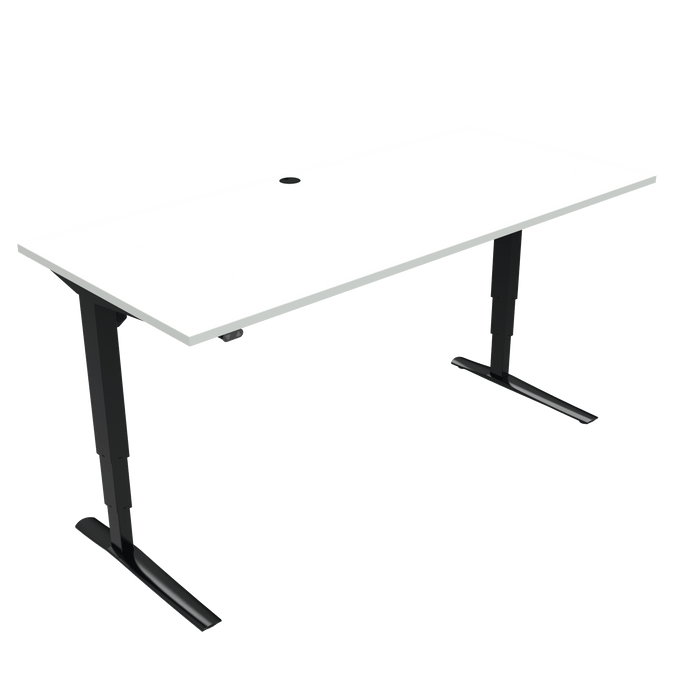 Conset 501-43 Electric Adjustable Desk