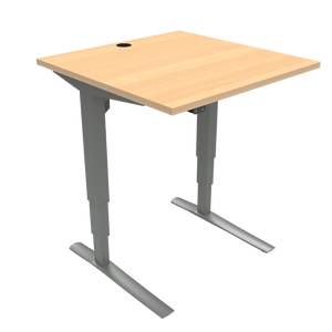 Conset 501-43 Electric Adjustable Desk