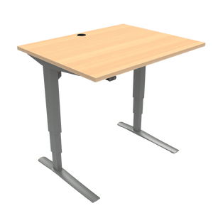 Conset 501-43 Electric Adjustable Desk