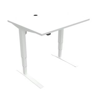 Conset 501-43 Electric Adjustable Desk