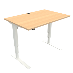 Conset 501-43 Electric Adjustable Desk