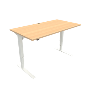 Conset 501-43 Electric Adjustable Desk