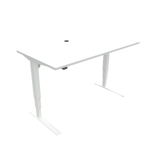 Conset 501-43 Electric Adjustable Desk