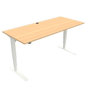 Conset 501-43 Electric Adjustable Desk