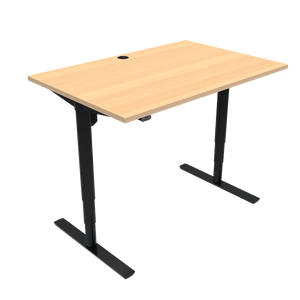 Conset 501-49 Sit Stand Desk