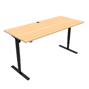 Conset 501-49 Sit Stand Desk