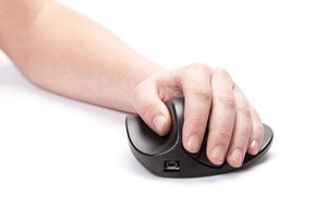 Hippus Handshoe Mouse