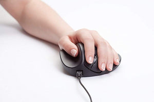 Hippus Handshoe Mouse