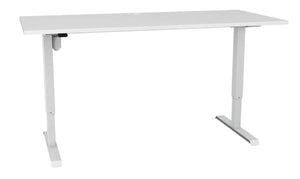 Sit Stand Desk