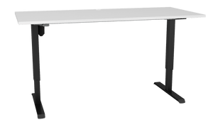 Sit Stand Desk