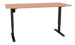 Sit Stand Desk