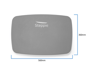 Steppie Balance Board