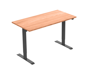 Standwell Electric Height Adjustable Desk